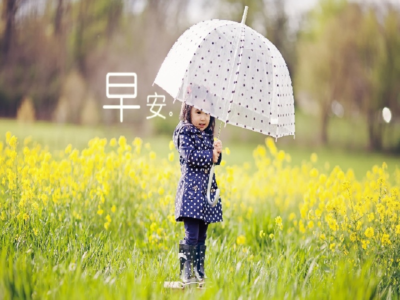 宫外孕试管移植几次(试管康妇消炎)